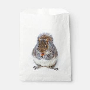 Squirrel Eating a Nut Cute Favour Bag