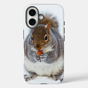Squirrel Eating a Nut Cute Winter Photo iPhone 16 Case