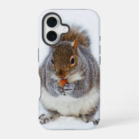 Squirrel Eating a Nut Cute Winter Photo