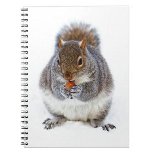 Squirrel Eating a Nut in Winter Snow Notebook