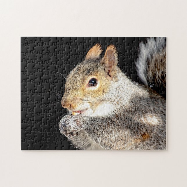 Squirrel eating a nut jigsaw puzzle (Horizontal)