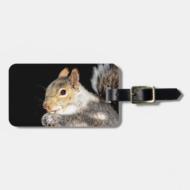 Squirrel eating a nut luggage tag (Front Horizontal)