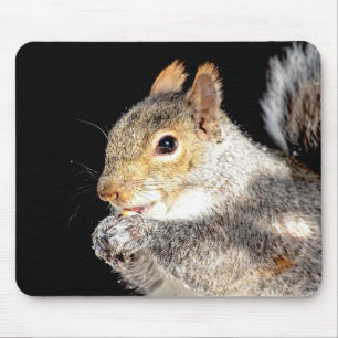 Squirrel eating a nut mouse pad