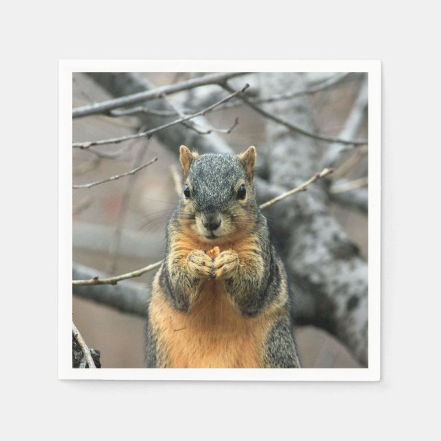 Squirrel Eating a Nut Napkin (Front)