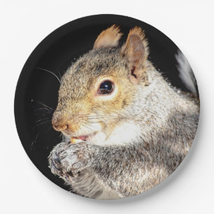 Squirrel eating a nut paper plate