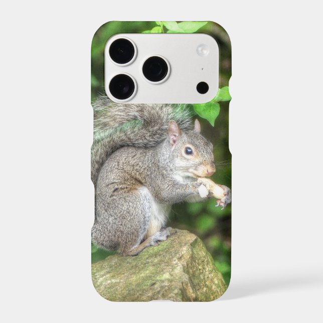 Squirrel Eating a Peanut (Back)