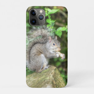 Squirrel Eating a Peanut iPhone 11 Pro Case