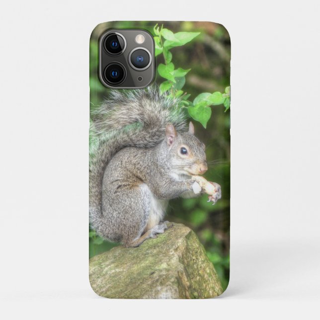 Squirrel Eating a Peanut Case-Mate iPhone Case (Back)
