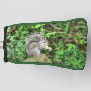 Squirrel Eating a Peanut Golf Head Cover
