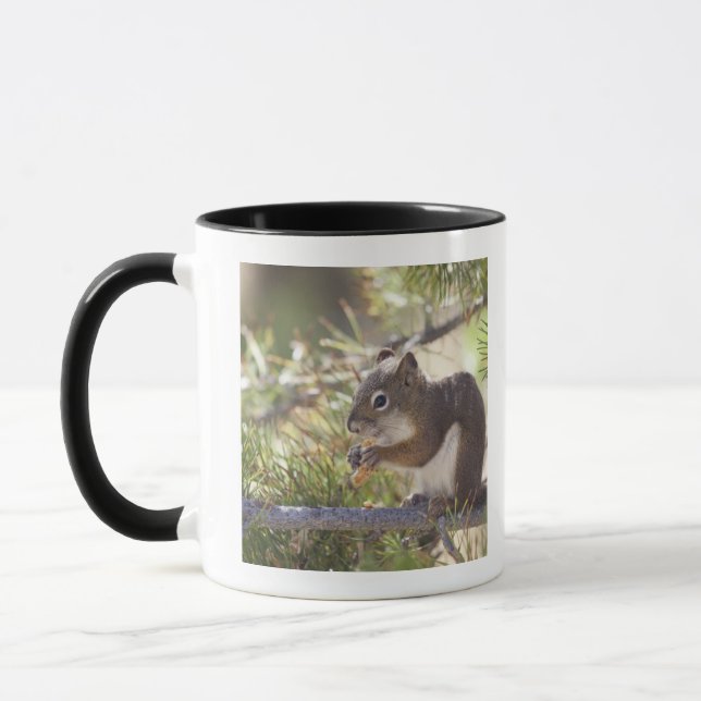 Squirrel eating a pine cone 2 mug (Left)