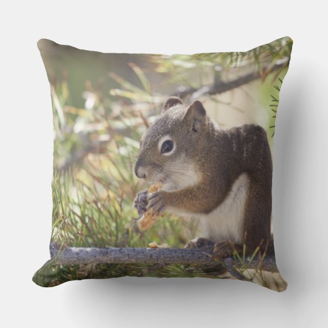 Squirrel eating a pine cone 2 throw pillow (Front)