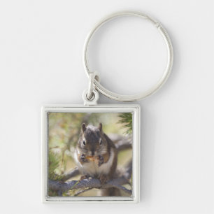 Squirrel eating a pine cone keychain