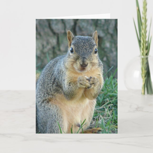 Squirrel Eating Acorns Card (Front)