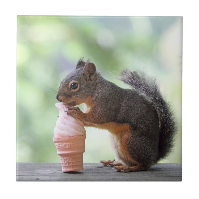 Squirrel Eating an Ice Cream Cone Tile (Front)