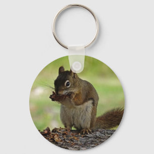 Squirrel eating Cone Keychain