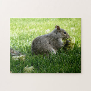 Squirrel eating Flowers Jigsaw Puzzle