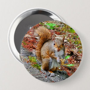 Squirrel Eating Food 4 Inch Round Button