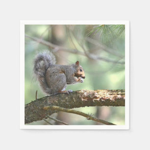 Squirrel Eating Lunch Paper Napkin