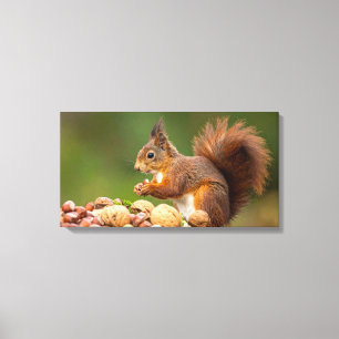 squirrel eating nut canvas print