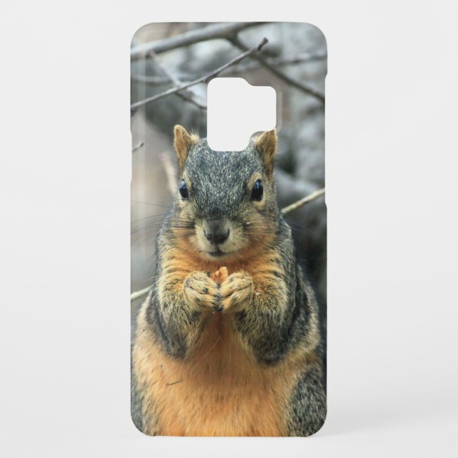 Squirrel Eating Nut Case-Mate Samsung Galaxy Case (Back)