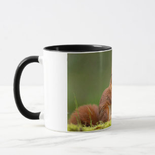 squirrel eating nut mug