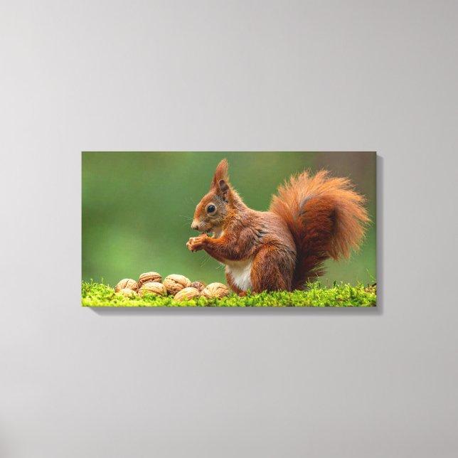 Squirrel Eating Nuts Canvas Print (Front)