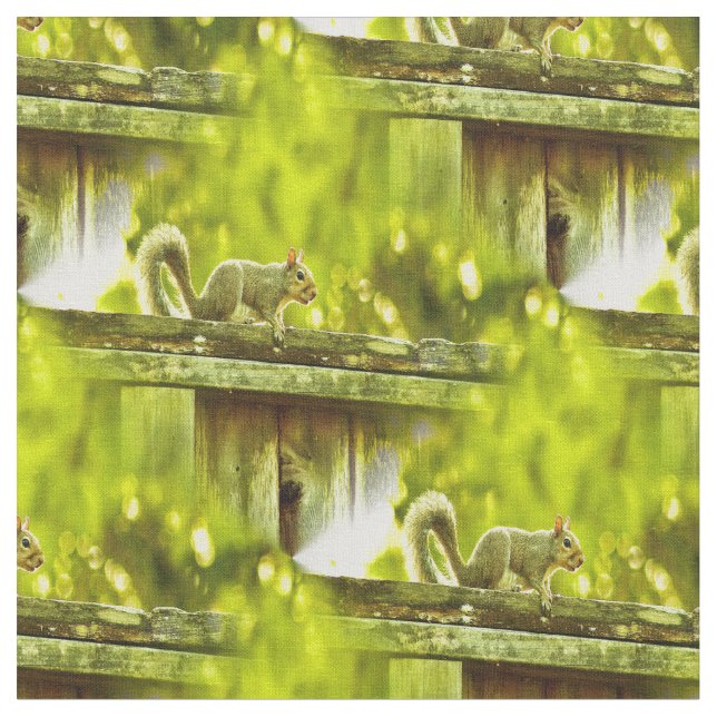 Squirrel Fabric (Close Up)