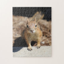 Squirrel Face