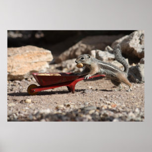 Squirrel Farmer Poster