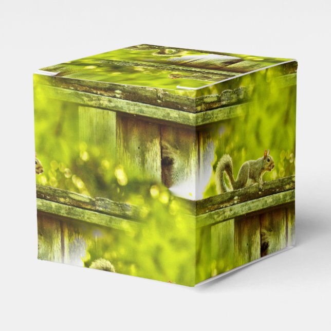 Squirrel Favor Box (Front Side)