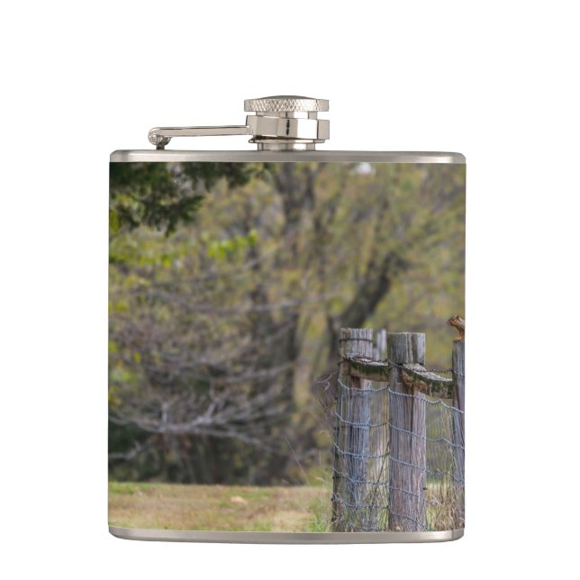 Squirrel Fence Pose Hip Flask (Front)
