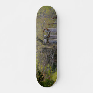 Squirrel Fence Pose Skateboard
