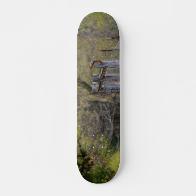 Squirrel Fence Pose Skateboard (Front)