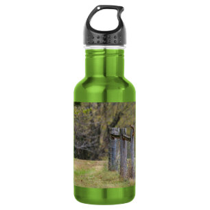 Squirrel Fence Pose Stainless Steel Water Bottle