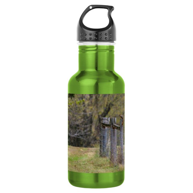 Squirrel Fence Pose Stainless Steel Water Bottle (Front)