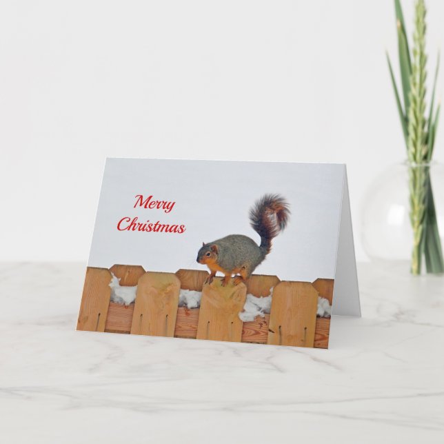 Squirrel Fence Snow Photo Christmas Holiday Card (Front)