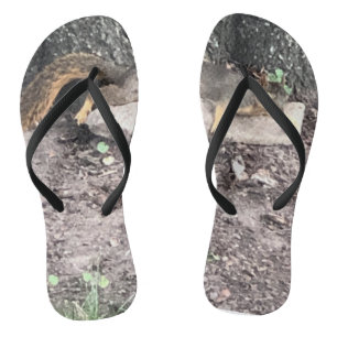 Squirrel Flip Flops