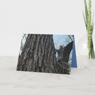 Squirrel Folded Greeting Card. Card