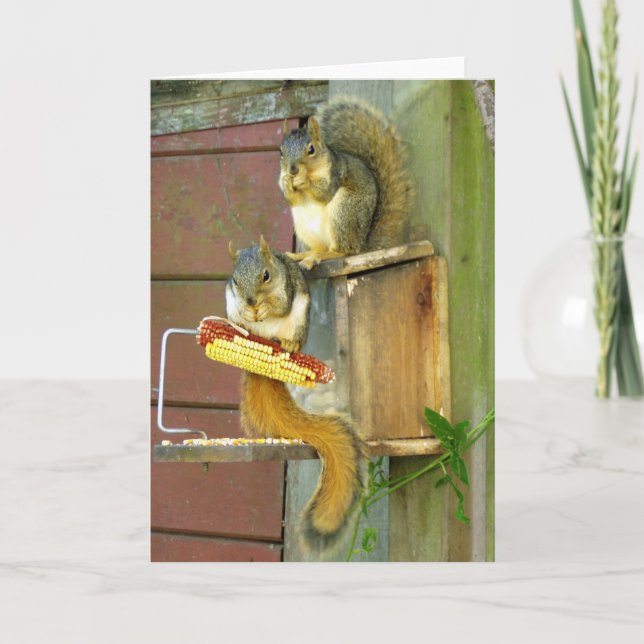 Squirrel friends card (Front)