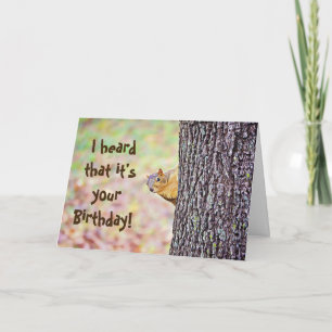 Squirrel Funny Birthday Card