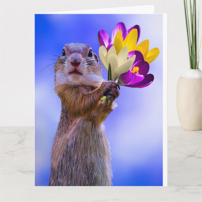 SQUIRREL GET WELL BIG GREETING CARDS (Front)