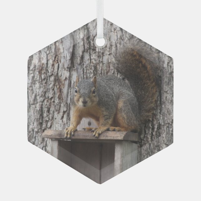 Squirrel  glass ornament (Front)