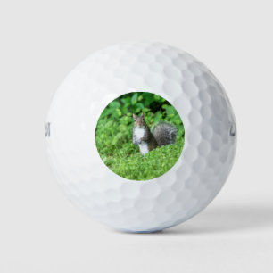 Squirrel Golf Balls