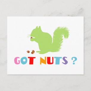 Squirrel Got Nuts? Postcard