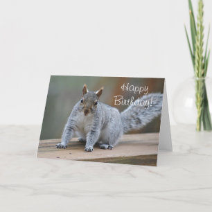 Squirrel greeting card