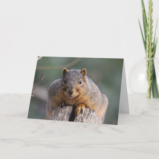 Squirrel greeting card (Front)