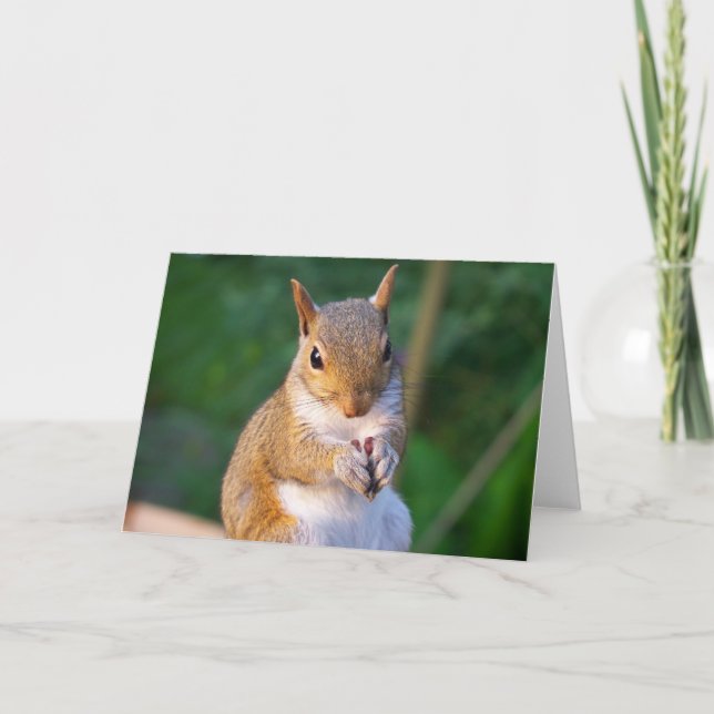 Squirrel Greeting Card (Front)