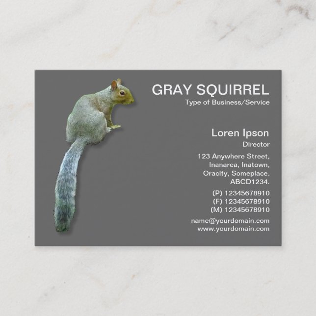 Squirrel - Grey Business Card (Front)