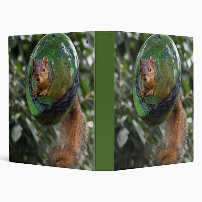 Squirrel Hanging Around Binder (Background)