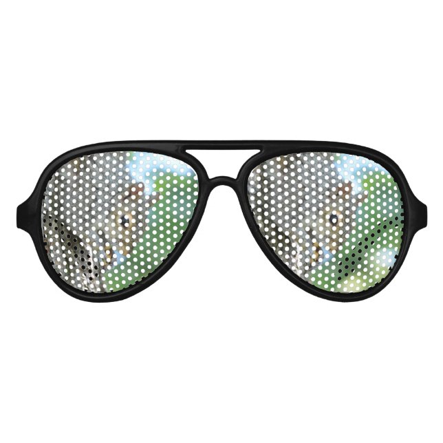 Squirrel Hanging in A Tree Aviator Sunglasses (Front)
